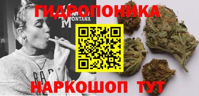 ALPHA-PVP Кандалакша