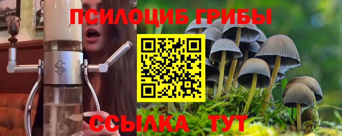 Армавир  Галлюциногенные грибы MAGIC MUSHROOMS  купить закладку  Вход с VPN 
