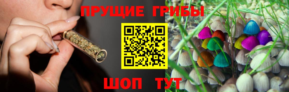 Галлюциногенные грибы GOLDEN TEACHER Армавир